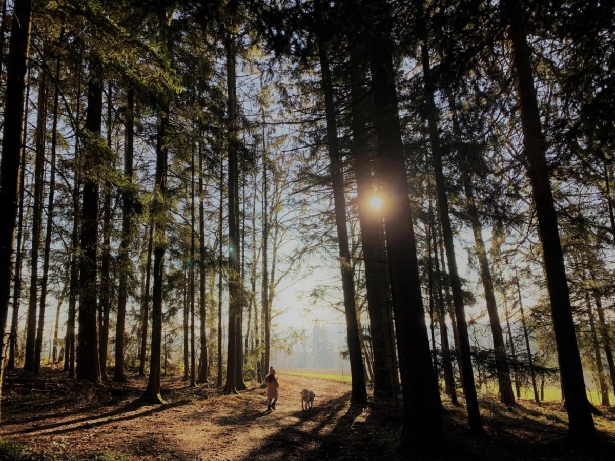Feriendorf Buechelberg Windorf  Bagian luar foto